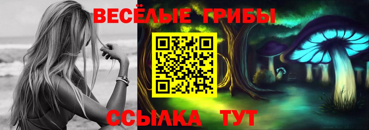 продажа наркотиков  Галлюциногенные грибы GOLDEN TEACHER  Галлюциногенные грибы мухоморы  Вход с VPN  Волжск 