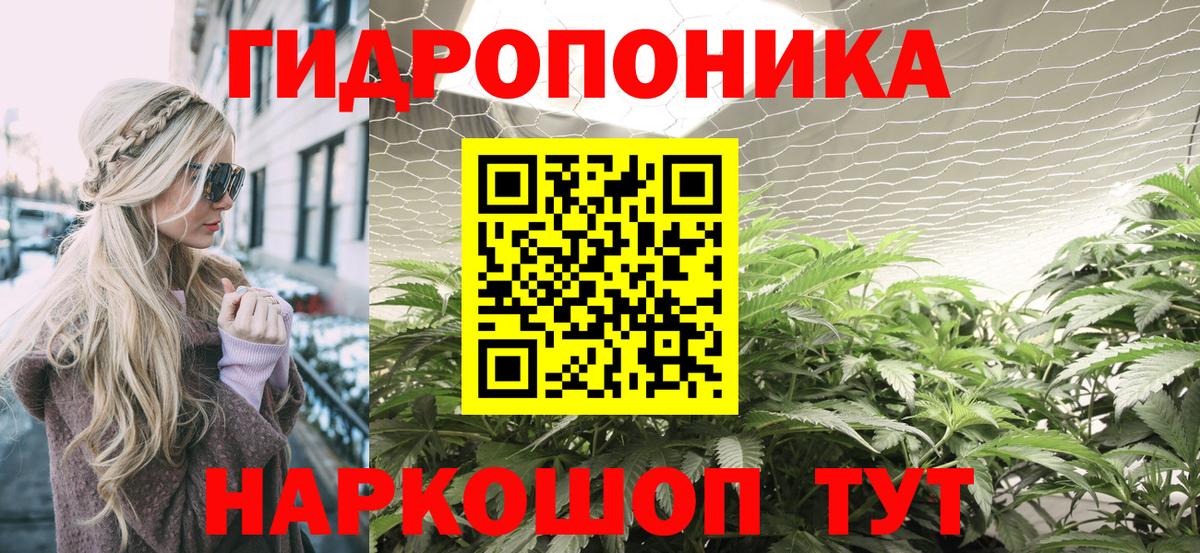 Конопля Bruce Banner  Вход с VPN  Марихуана индика  Волжск  Марихуана индика 